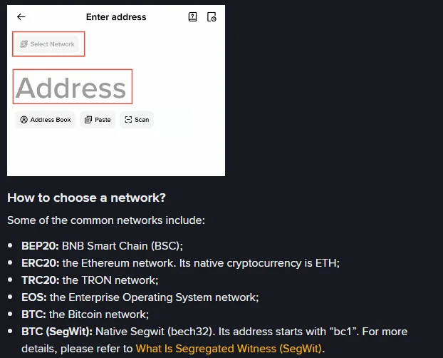 Binance app Enter address screen with Select Network and Address highlighted, above a list of common networks that includes BTC: the Bitcoin network and BTC (SegWit): Native Segwit (bech32), address starts with bc1.