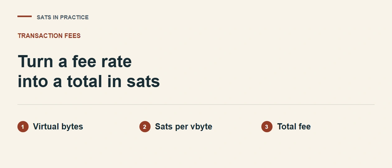 What Does sat/vB Mean? Turn a Fee Rate into Sats and USD