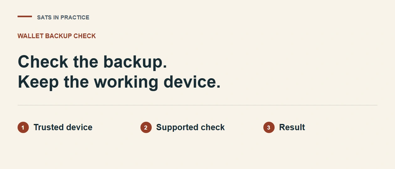 Trezor Check Backup Failed? Test Your Seed Without Wiping