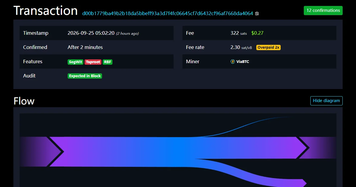 Where to Find a Bitcoin Transaction ID and How to Check It