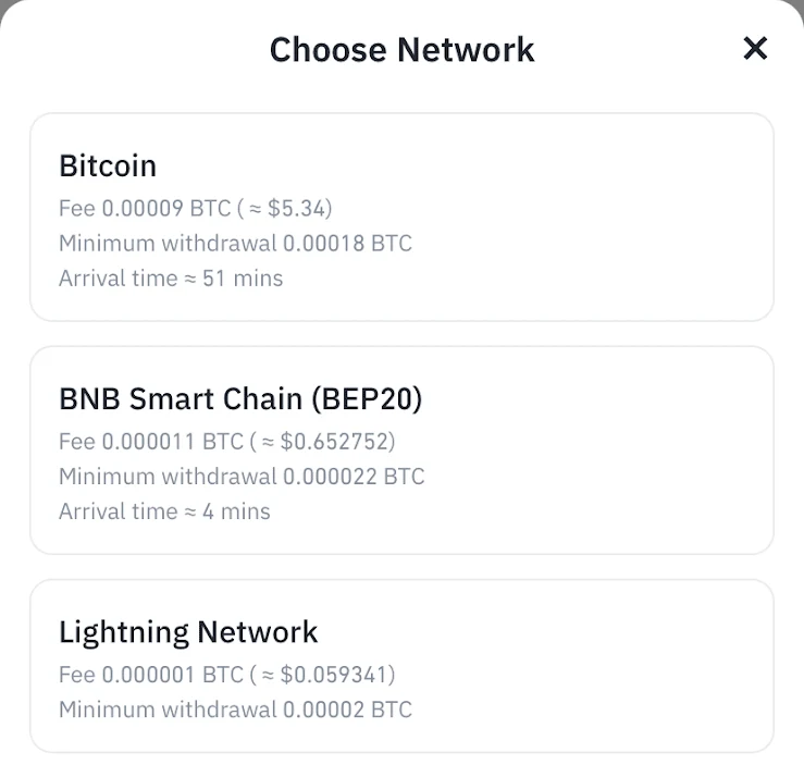 Cropped Binance network menu from 2024 showing Bitcoin, BNB Smart Chain, and Lightning as separate withdrawal routes.