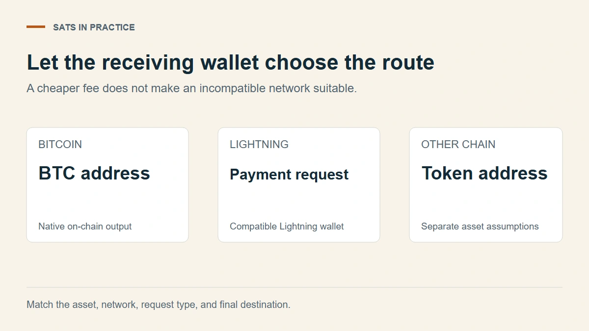 Three distinct receiving routes: an on-chain Bitcoin address, a Lightning payment request, or a token on another blockchain.